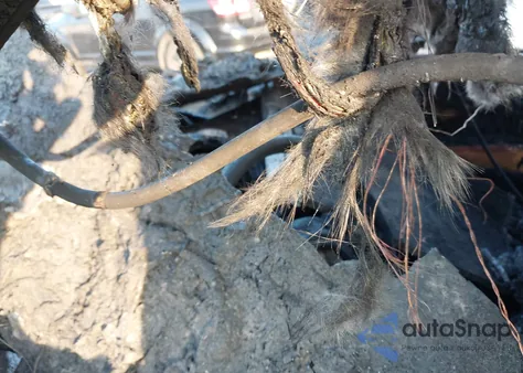 2021 Jeep Compass 80Th Anniversary Fwd from USA, damaged, VIN 3C4NJCEB4MT518314